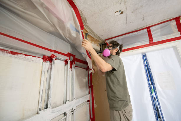 Mold Remediation for Vacation Homes in Downers Grove, IL