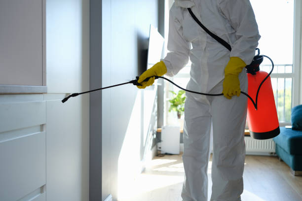 Best Asbestos and Lead Testing During Mold Inspection  in Downers Grove, IL