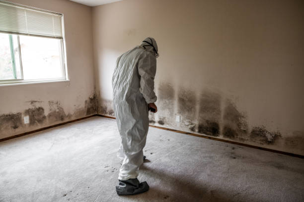 Best Residential Mold Inspection & Testing  in Downers Grove, IL